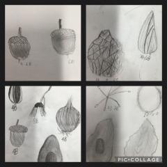 IMG9570